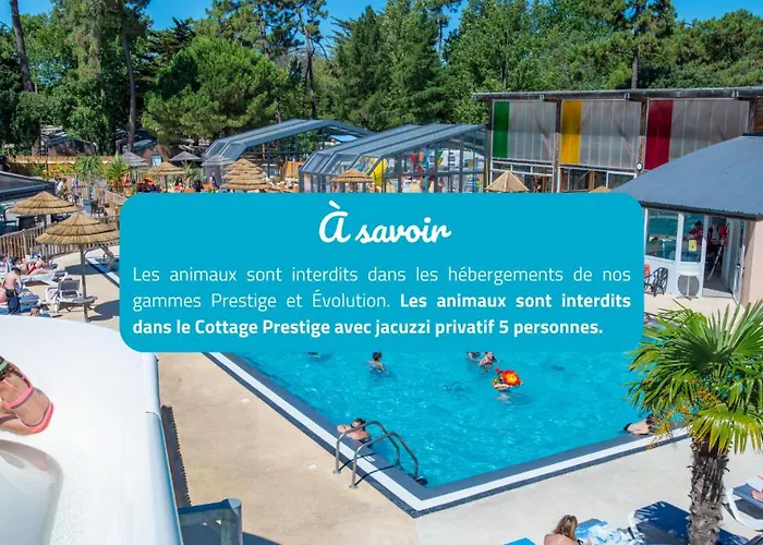 Camping Signol